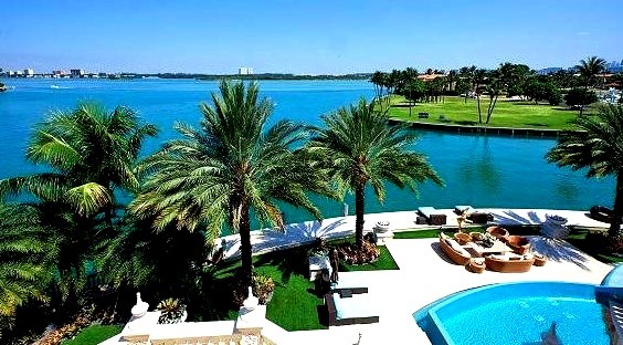 Unbelievable View of Water and Palm Trees